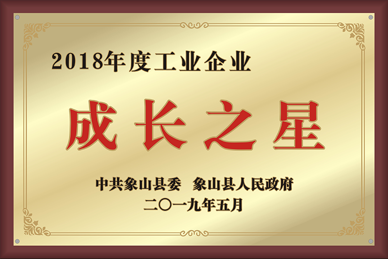 2018年度工业企业成长之星